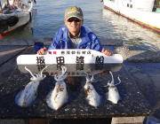 アオリイカ1.4㎏！　黒島の磯のヤエン釣果