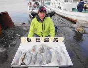 ヤエンで1.4kgの良型アオリイカ