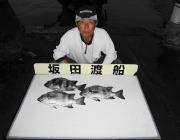 【16日】黒島の磯の上物・底物釣果
