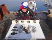 1.2kgのアオリイカ☆黒島の磯のヤエン釣り