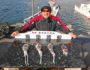 【筏でタコ、磯でアオリ・コウイカ】エギング釣果