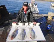 ヤエンでアオリイカ1.7kg！