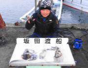 黒島の磯でエギング　HITカラーはグリーン