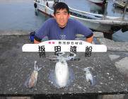 黒島の磯のヤエン、アオリイカ1.6kgの良…