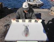 【29日】黒島の磯でのヤエン釣果　キロクラ…