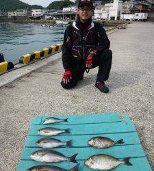 ヒラバエではカゴ釣りでイサキが好調でした