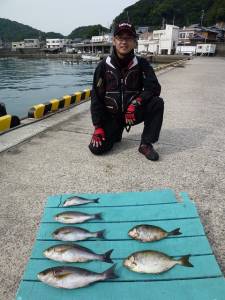 ヒラバエではカゴ釣りでイサキが好調でした