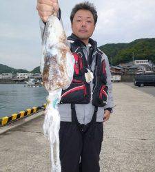 神谷工場裏の波止　ヤエン＆ウキ釣りでのアオリイカ釣果