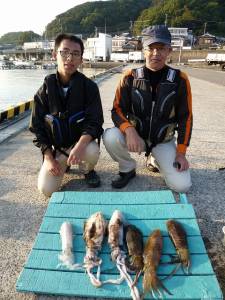 好釣！工場裏でのアオリイカ、ヤエン釣果