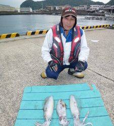 本日もアオリ釣れています！神谷一文字でヤエン