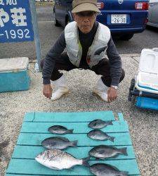 カゴつりでイサギ・グレ・チヌ　〜ヒラバエ他での釣果〜