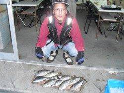 カマ磯でもアイゴ好調のようです