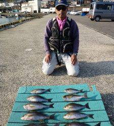ヒラバエでカゴ釣り、イサキが釣れています