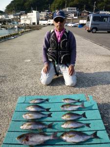 ヒラバエでカゴ釣り、イサキが釣れています