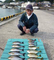 ヒラバエでカゴ釣り、イサキ・グレ・アイゴの釣果