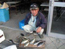 有田の磯、フカセでグレ・アイゴの釣果