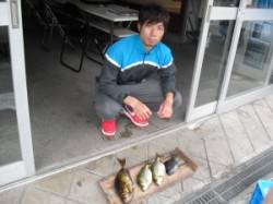 大磯　フカセでアイゴ・グレの釣果