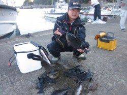 串本の磯　グレ〜36cm10尾　他の人もタマミの釣果