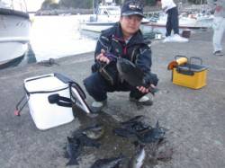 串本の磯　グレ〜36cm10尾　他の人もタ…