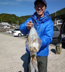 エギングでアオリイカ1kg☆神谷一文字にて☆