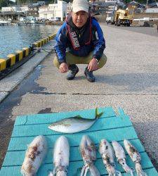 ヤエン&エギでアオリ狙い　青物も釣れました