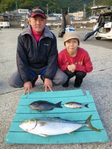 神谷沖一文字内向き、飲ませでハマチ★