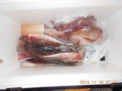 半夜釣りの釣果です(^_^)/ 　茶釜で良型グレ、アジ