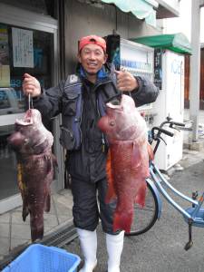 カブト磯 　ウニをエサにカンダイ74cm＆…