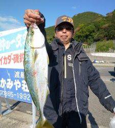 ルアーで青物狙えます！神谷一文字での釣果