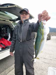 神谷一文字でフカセ釣り、ハマチ釣果