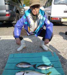 沖一文字内向き、イサギ良くつれています　他小ダイ、ハマチ