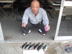 ジロー磯でのフカセ釣りでグレ　エサはボイルオキアミです