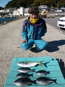 神谷一文字　かご釣りでグレ＆ハマチの釣果