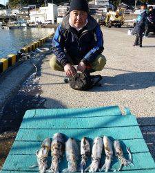 神谷漁港　ヤエン＆エギングでのアオリイカ釣果