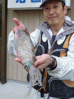 イカのウキ釣りでアオリ5杯ＧＥＴ！