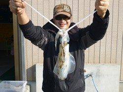 湯浅の磯でエギング！ゴールド系に反応ヨシ