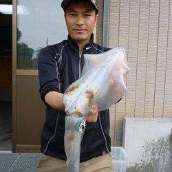 湯浅の磯、ヤエンで最大1.16kgのアオリ♪