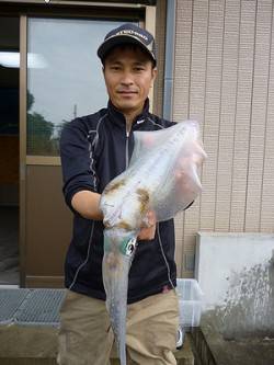 湯浅の磯、ヤエンで最大1.16kgのアオリ…