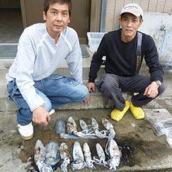 湯浅の磯、ヤエンで最大1.16kgのアオリ♪