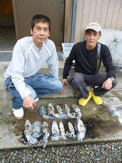 湯浅の磯、ヤエンで最大1.16kgのアオリ♪