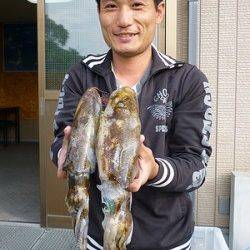 湯浅の磯、イカウキ釣りとヤエンの釣果