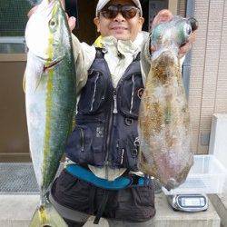 湯浅の磯でウキ釣り、アオリ5ハイに青物！