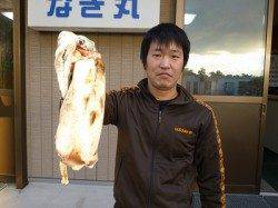 湯浅の磯のヤエン　キロUPのアオリイカ