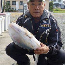 アオリイカ1.47kg☆　湯浅の磯でのヤエン釣り
