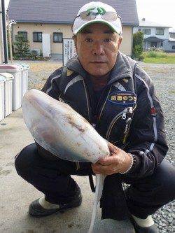 アオリイカ1.47kg☆　湯浅の磯でのヤエン釣り