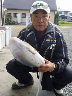 アオリイカ1.47kg☆　湯浅の磯でのヤエ…