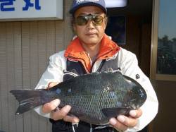 湯浅の磯でグレ・チヌなど