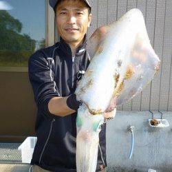 グッドサイズのアオリイカ！　ユアサの磯のヤエン釣り