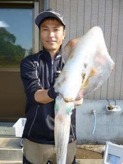 グッドサイズのアオリイカ！　ユアサの磯のヤ…
