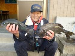 湯浅の磯フカセ釣りでグレ43匹！